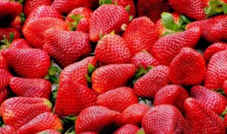 半生草莓放几天会熟吗 半生半熟的草莓能吃吗