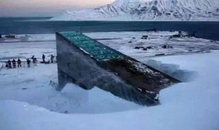世界第一个永久极地考察站是什么站 世界第1个永久极地考察站是什么站