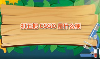 打五把CSGO是什么梗