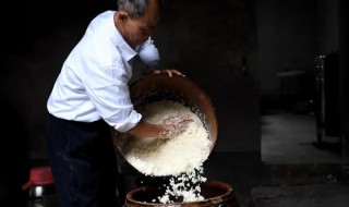 米酒发酵过程步骤 米酒发酵工艺流程