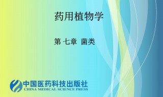 什么是菌丝组织体?有几种类型? 菌丝组织体常见的有哪几类?各起何作用?