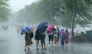 狂风暴雨是指春夏秋冬哪个季节（狂风暴雨指什么季节）