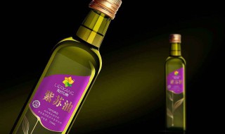 紫苏油的三大功效 紫苏油的功效与作用及禁忌 食用方法