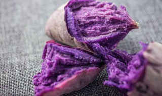 紫色地瓜功效与作用 紫色地瓜功效与作用禁忌