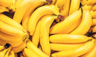 香蕉功效作用与禁忌 香蕉的功效作用禁忌