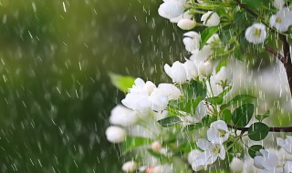 关于春雨绵绵的心情说说有哪些（关于春雨绵绵的心情说说有哪些句子）