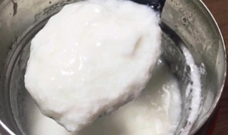 焖烧罐自制酸奶 焖烧杯自制酸奶视频