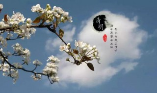 清明节要干什么（人死后第一个清明节要干什么）