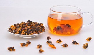 昆仑雪菊蜂蜜茶的做法 昆仑雪菊蜂蜜茶的做法大全
