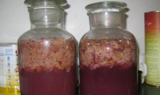 酿果酒的杀菌方法步骤 酿果酒用什么菌