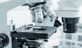 显微镜移动标本的方法 显微镜移动标本的方法是什么