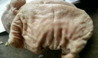 猪肚皮腌制方法（猪肚如何腌制）
