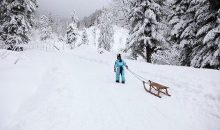 滑雪双板怎么拐弯（滑雪双板怎么拐弯的）