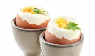 新鲜鸡蛋和不新鲜鸡蛋的区别（新鲜鸡蛋和不新鲜鸡蛋的区别是什么）