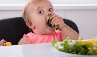 一岁半宝宝食谱大全（一岁幼儿的辅食食谱）