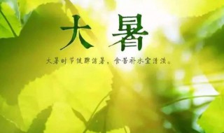 大暑天中医养生方法（中医小暑养生）