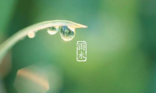 雨水节气吃啥养生（雨水时节吃什么养生菜谱）