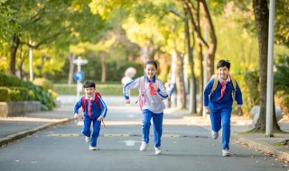 幼儿学成语接龙有何好处 幼儿学成语接龙有何好处和坏处