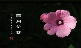 三月算哪个季节（三月算哪个季节的天气）