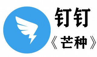 钉钉怎样半屏（钉钉怎样半屏直播）