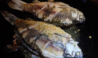 霍香卿鱼的做法 藿香鱼的家常做法简单