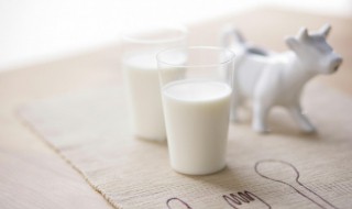 牦牛奶制作方法 牦牛奶做的美食