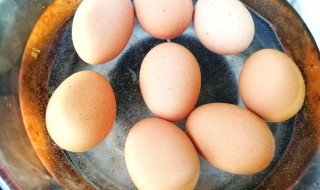 吃水煮鸡蛋的好处是什么 吃水煮鸡蛋的好处是什么呢