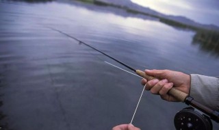 鱼线捆绑打结方法 鱼线绑鱼线打结方法图解