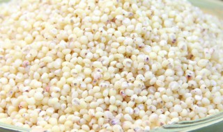 白高粱米的功效与作用 白高粱米的功效与作用及食用