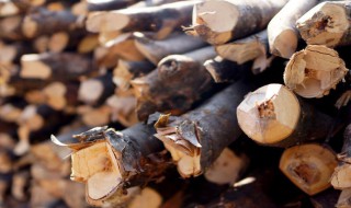 防止木头淋雨腐烂方法 防止木头腐烂的方法