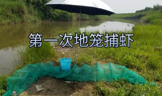 地笼捕虾技巧 地笼捕虾视频大全播放