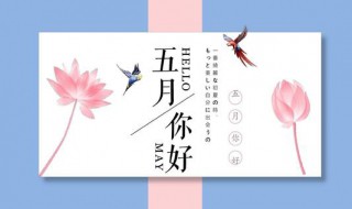 五月是夏天还是春天（五月是夏天还是春天?）