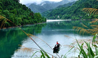 如何让池塘里的浑水变清（如何让池塘里的浑水变清）