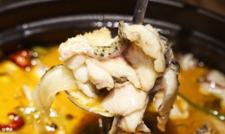 酸菜柴鱼汤怎么做 酸菜柴鱼的做法视频