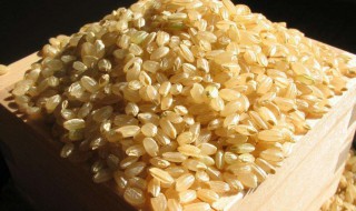 糙米和燕麦米的区别 减肥五色糙米是哪五种