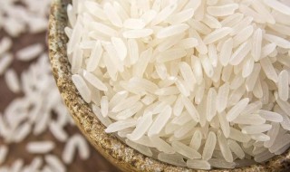 籼米是什么米 籼米是什么米图片欣赏