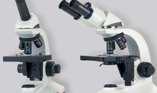 低倍显微镜的使用步骤和注意事项 低倍显微镜的使用步骤和注意事项是什么