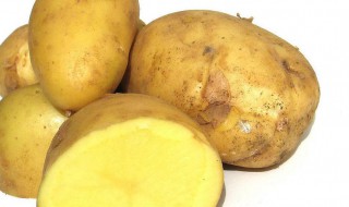 土豆中主要含有什么 土豆中主要含有什么检验方法是什么