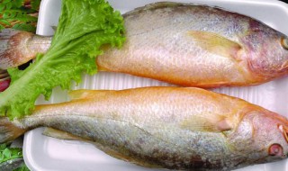 三斤多黄花鱼怎么做 三斤多黄花鱼怎么做好吃
