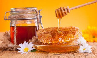 蜂蜜减肥效果 蜂蜜的减肥作用