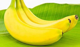 香蕉为什么是弯曲的 香蕉为什么是弯曲的图片