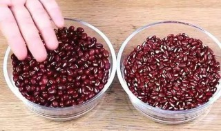 红小豆和赤小豆的区别的作用（红小豆和赤小豆的区别的作用是什么）