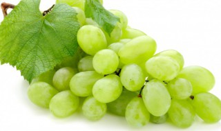 绿色大葡萄是什么品种（紫葡萄品种）