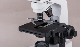 电光学显微镜的试镜步骤（电光显微镜的使用）
