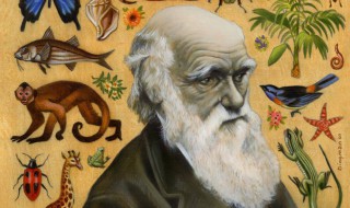 达尔文的巨著 达尔文的巨著什么的出版标志着进化论的确立