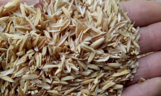 稻壳和米糠的区别（稻壳跟米糠有区别吗）