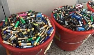 废电池的危害 废电池的危害和处理方法研究报告成果简介