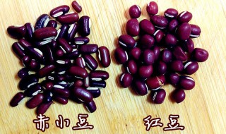 红豆和赤小豆的区别有哪些（红豆和赤小豆是一样吗）