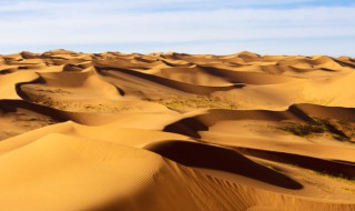 中国有几个沙漠（世界十大沙漠面积排名）