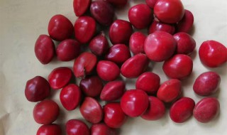 海红豆的功效与作用 海红豆的功效与作用血菩提